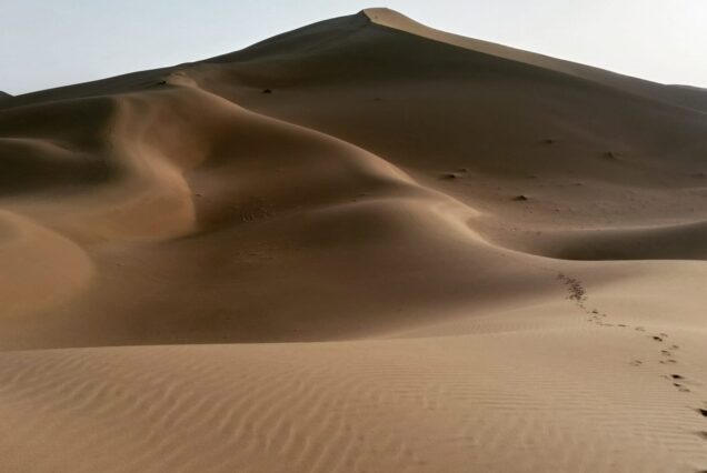 chegaga desert