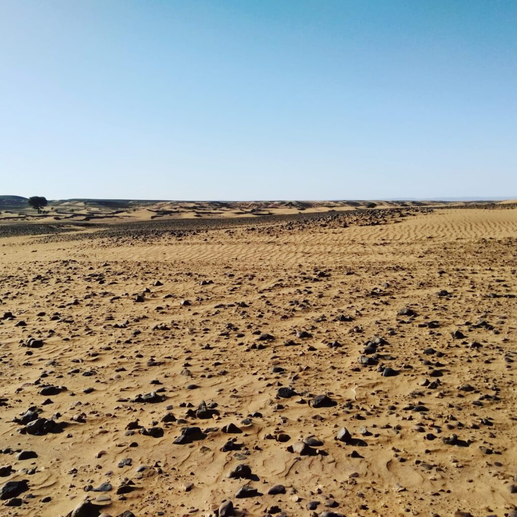 chegaga desert